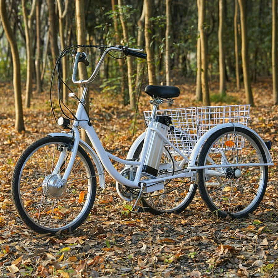 24inch 3 Wheel Electric Tricycle with 250w Motor L96389