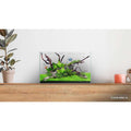 CLEAR MINI 16 Freshwater Aquarium K758181