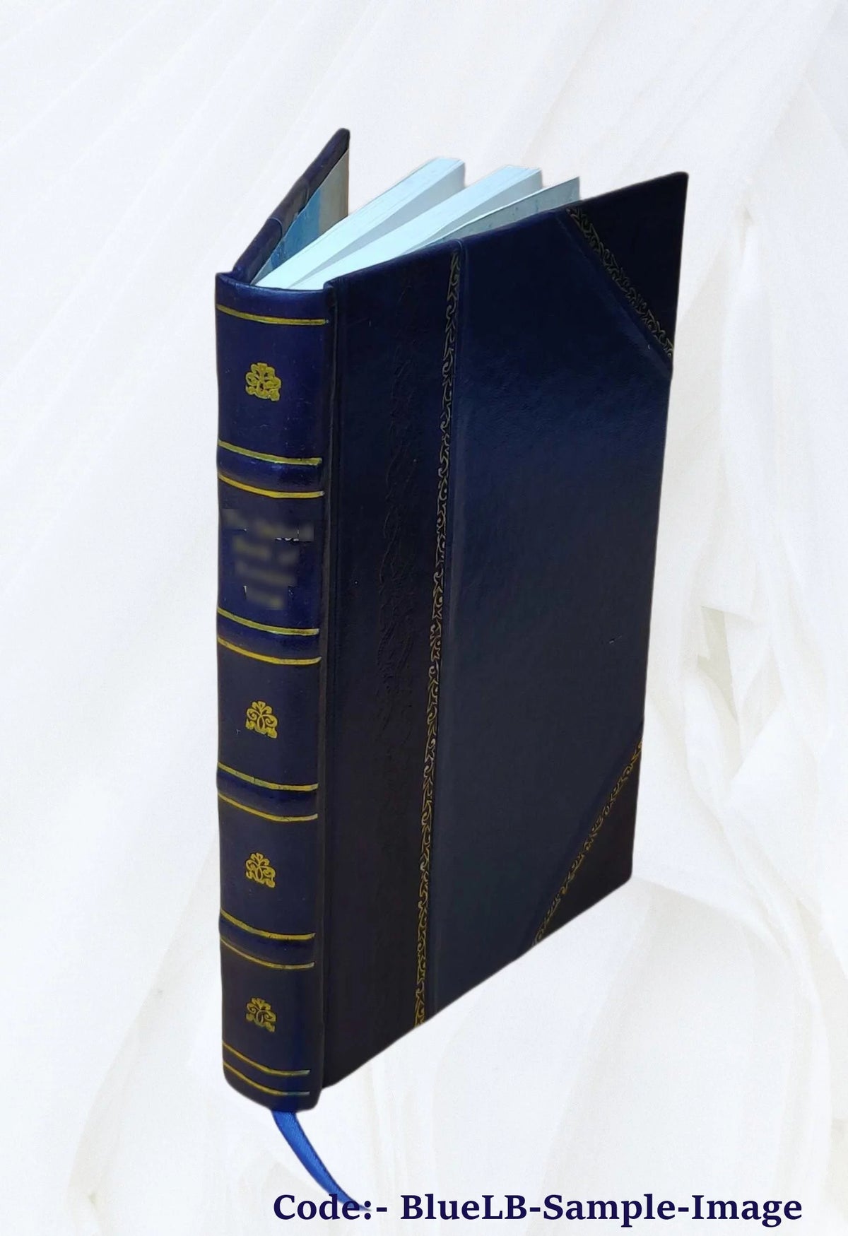 Leather Bound E80717