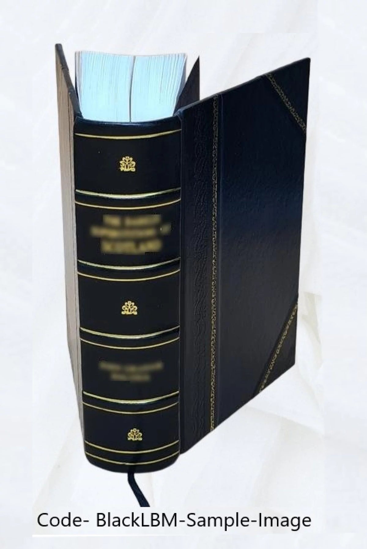 Géologie pratique Leather Bound R234