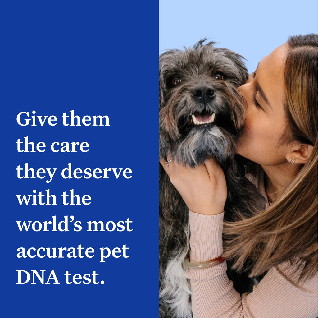 Dog DNA Test Kit N9468