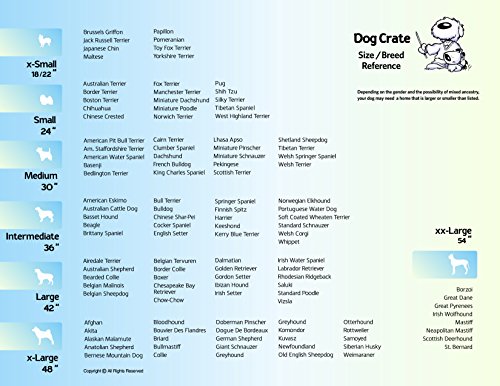 Single & Double Door Dog Crate with Leak-Proof Pan X759719