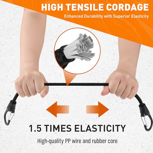 31-Piece Bungee Cords Assortment H32808