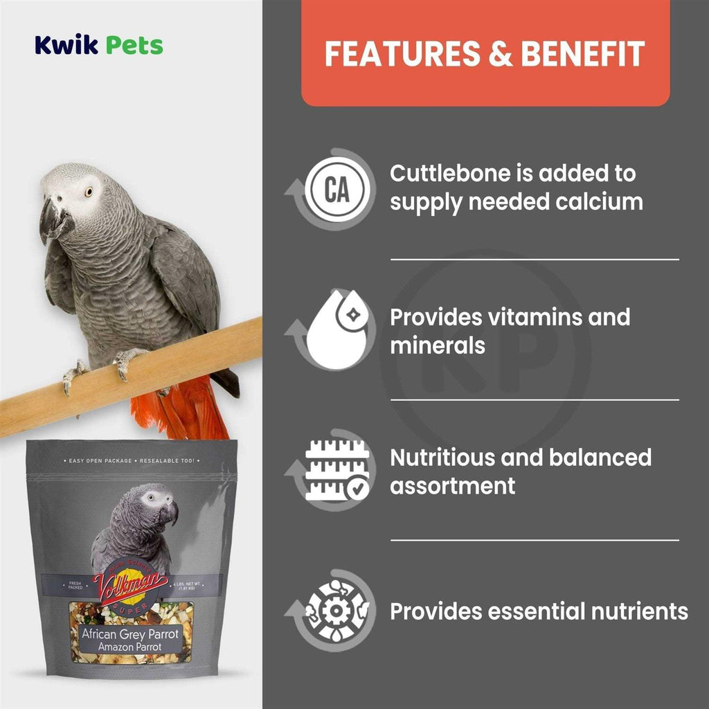 African Grey Pet Supplies E484