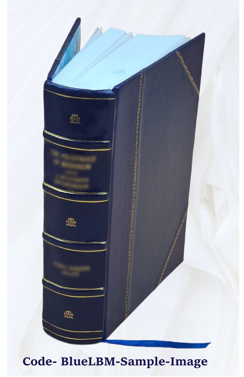 Maladies de l'encéphale Leather Bound H582511
