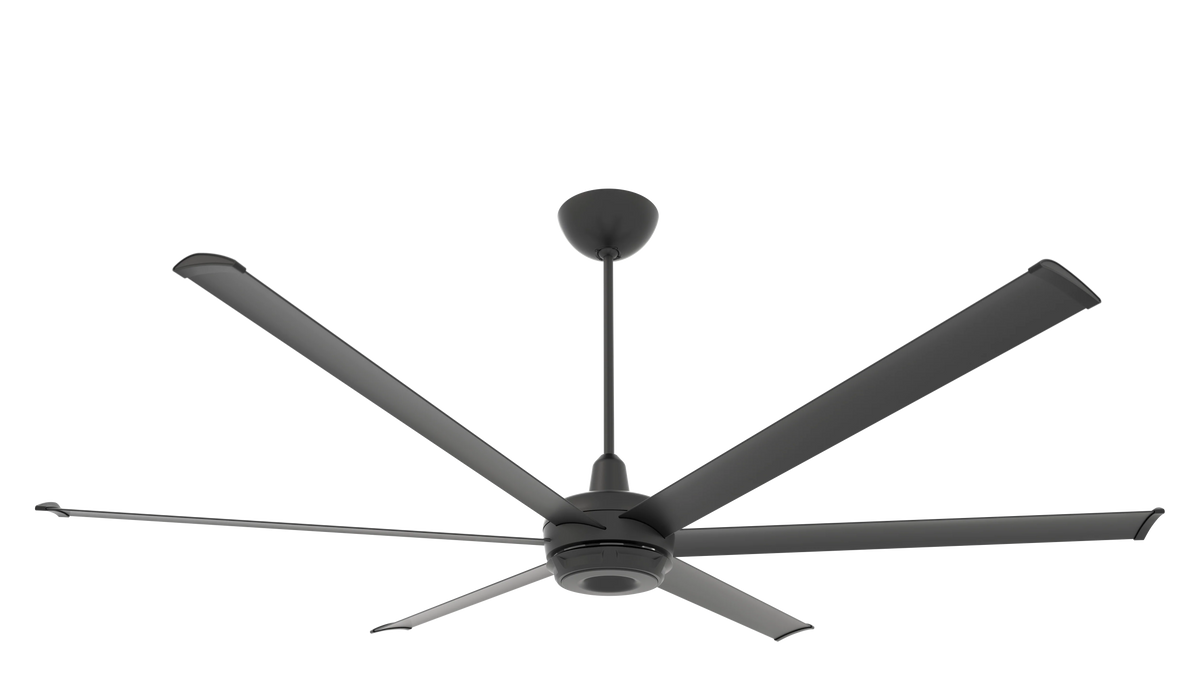 Black Ceiling Fan U599