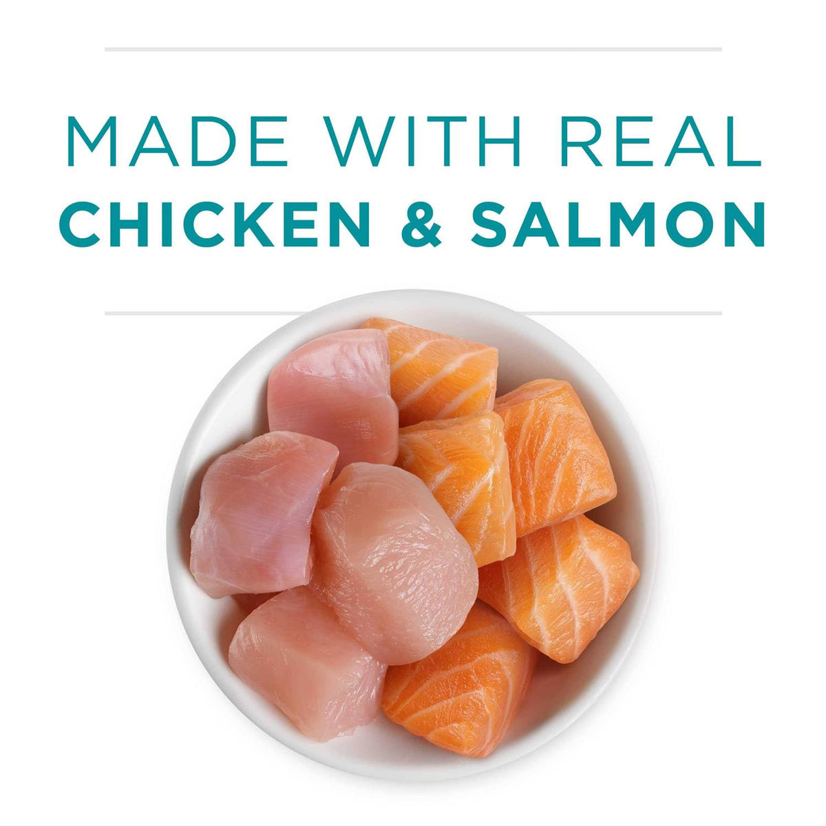 Chicken & Salmon Pate Wet Cat Food X795665