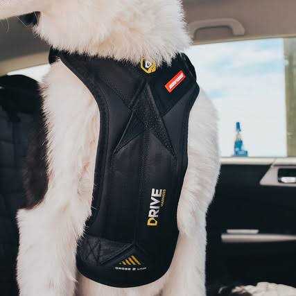 Dog Car Harness A53293