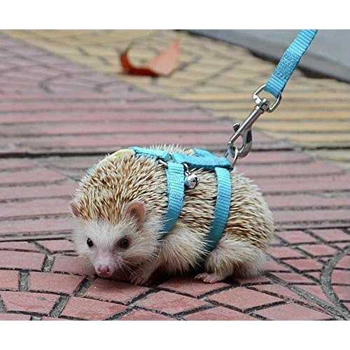Adjustable Small Pet Hedgehog Harness K363832