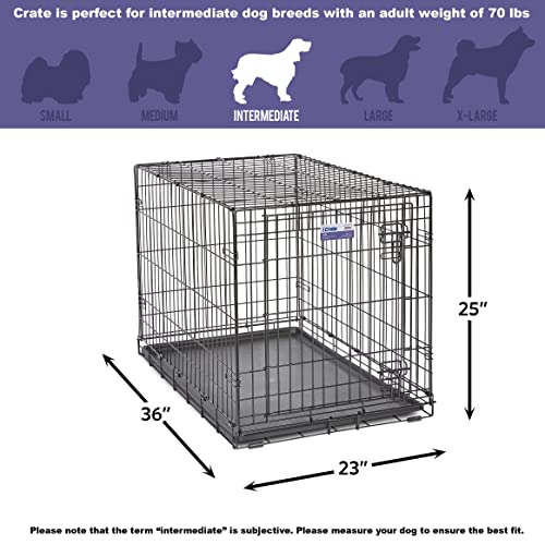 Single & Double Door Dog Crate with Leak-Proof Pan X759719