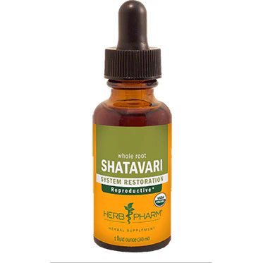 Shatavari 1 oz X326754