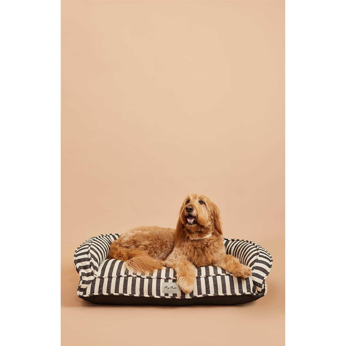 Buffalo Check Lounger R540440