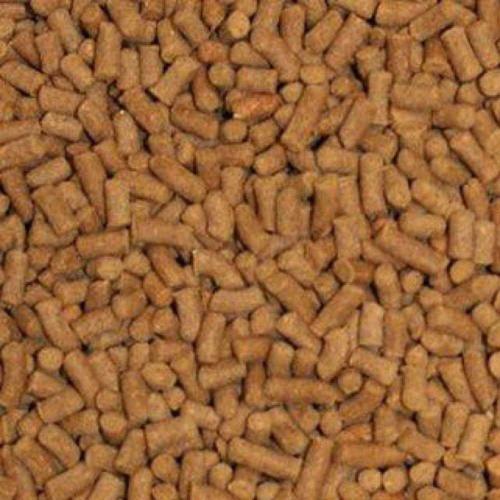 Sinking Shrimp Fish Food Pellets R5875