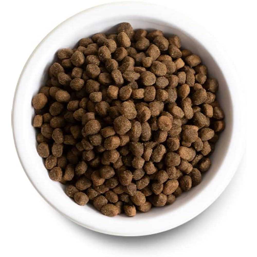 Ancient Grains Puppy Dry Dog Food T228866
