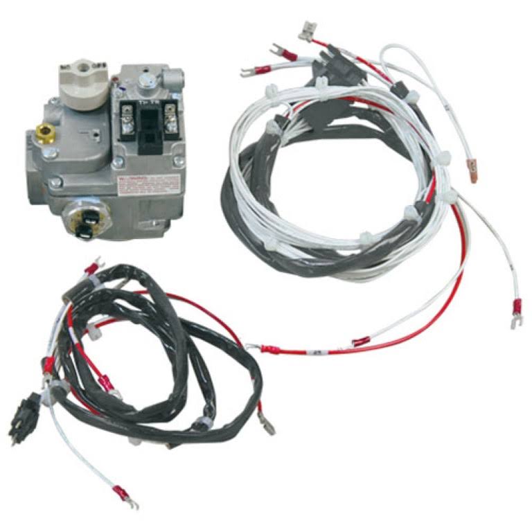 OEM GAS Valve w/ Harness W423