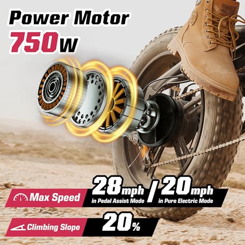 Electric Bike for Adults 48V 750W Peak 20" Fat Tires E8016