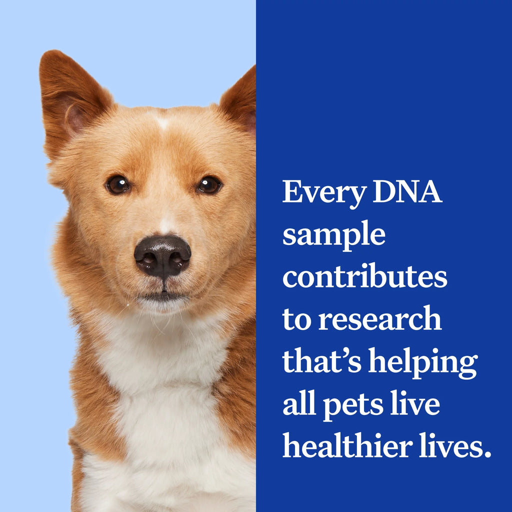 Dog DNA Test Kit N9468