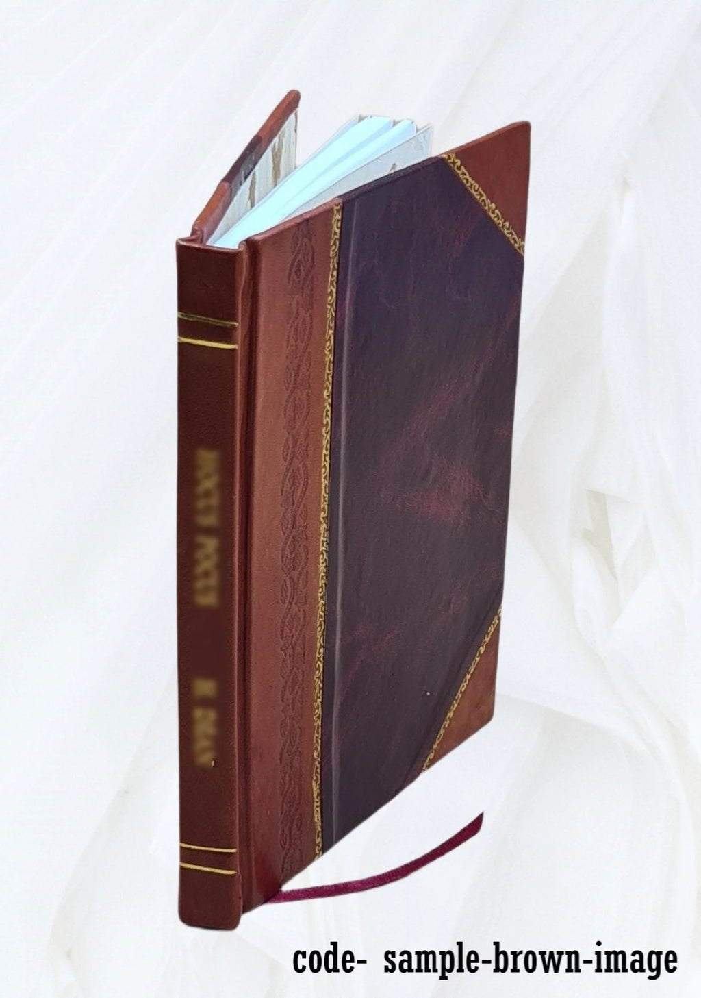 1921 Leather Bound Volume 20 K1612