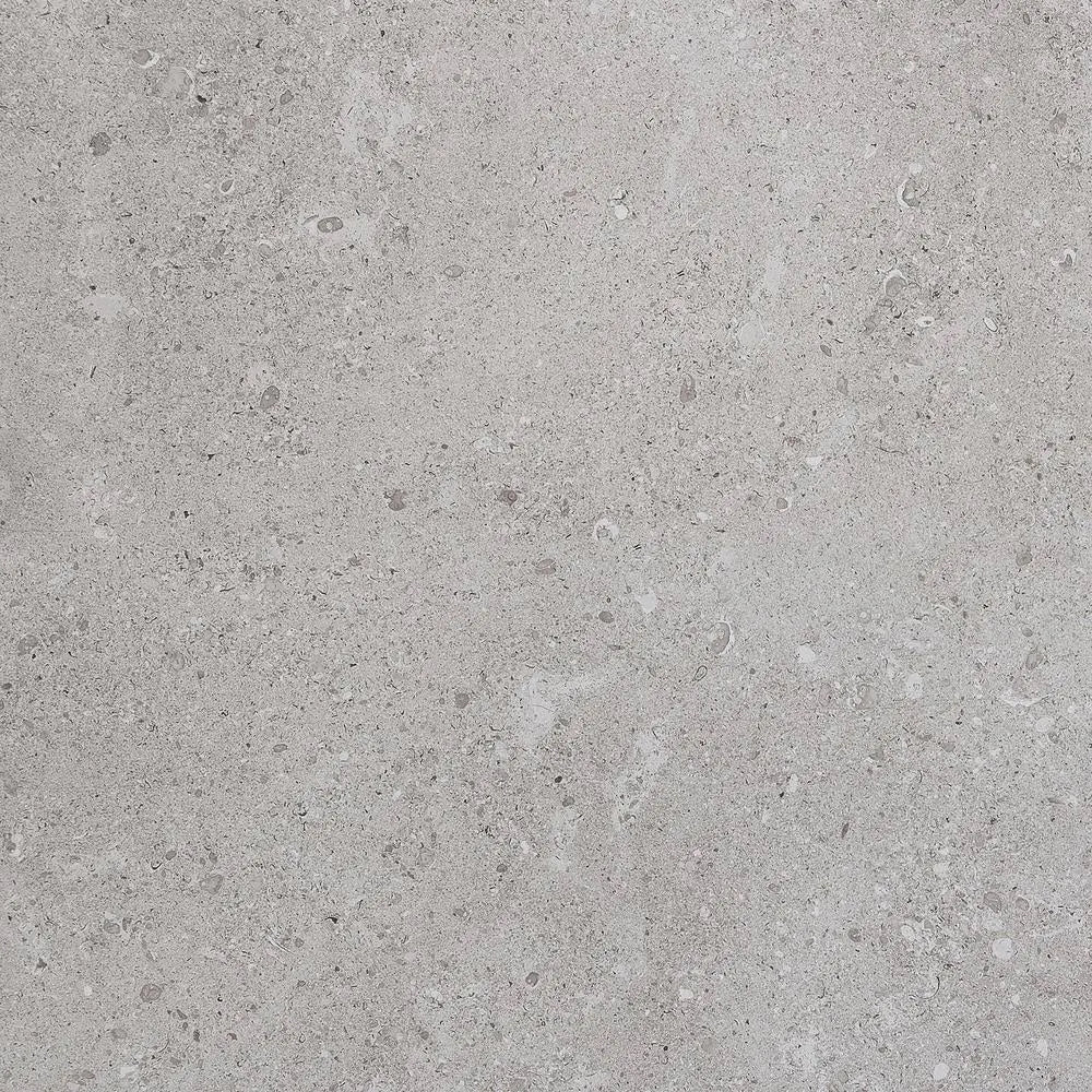 Gray Matte 24 in. x 24 in. Porcelain Floor and Wall Tile R9629