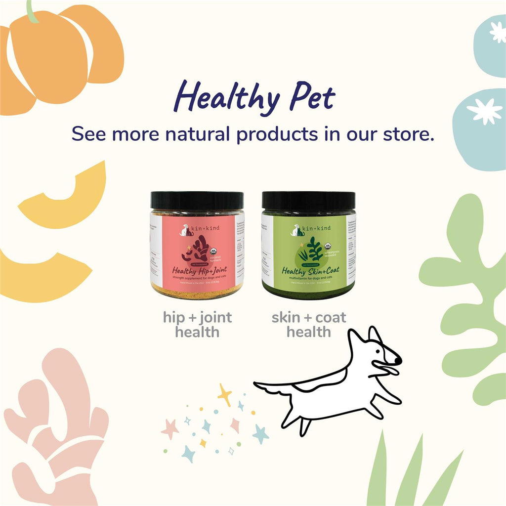 Healthy Immunity for Dogs and Cats A27691