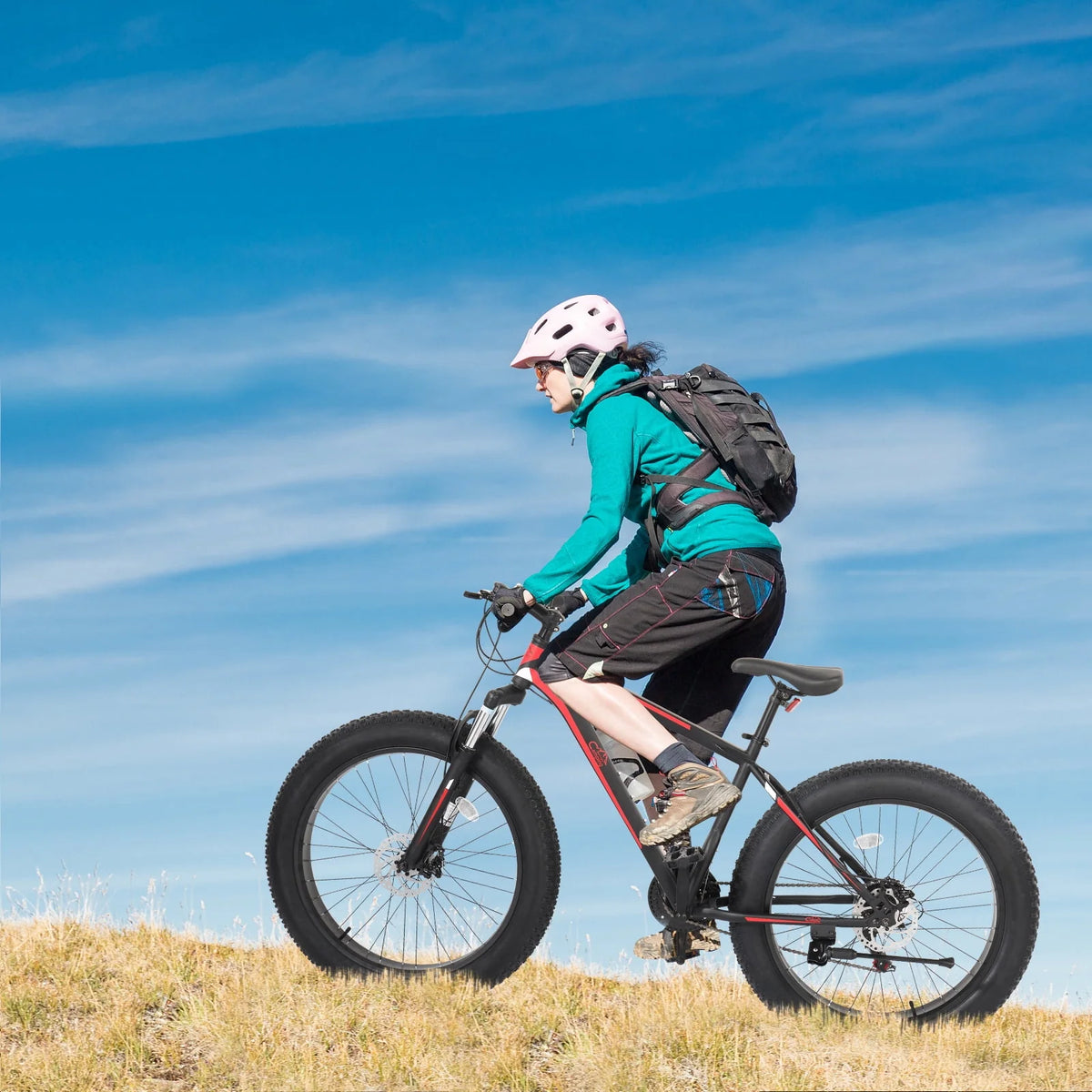 26 Fat Tire Mountain Bike 21 Speed High Carbon Steel Frame X989
