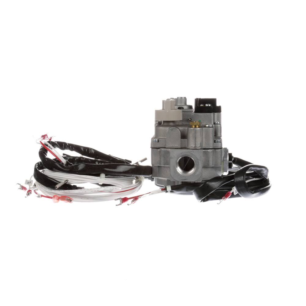 OEM GAS Valve w/ Harness W423