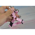 Adjustable Small Pet Hedgehog Harness K363832
