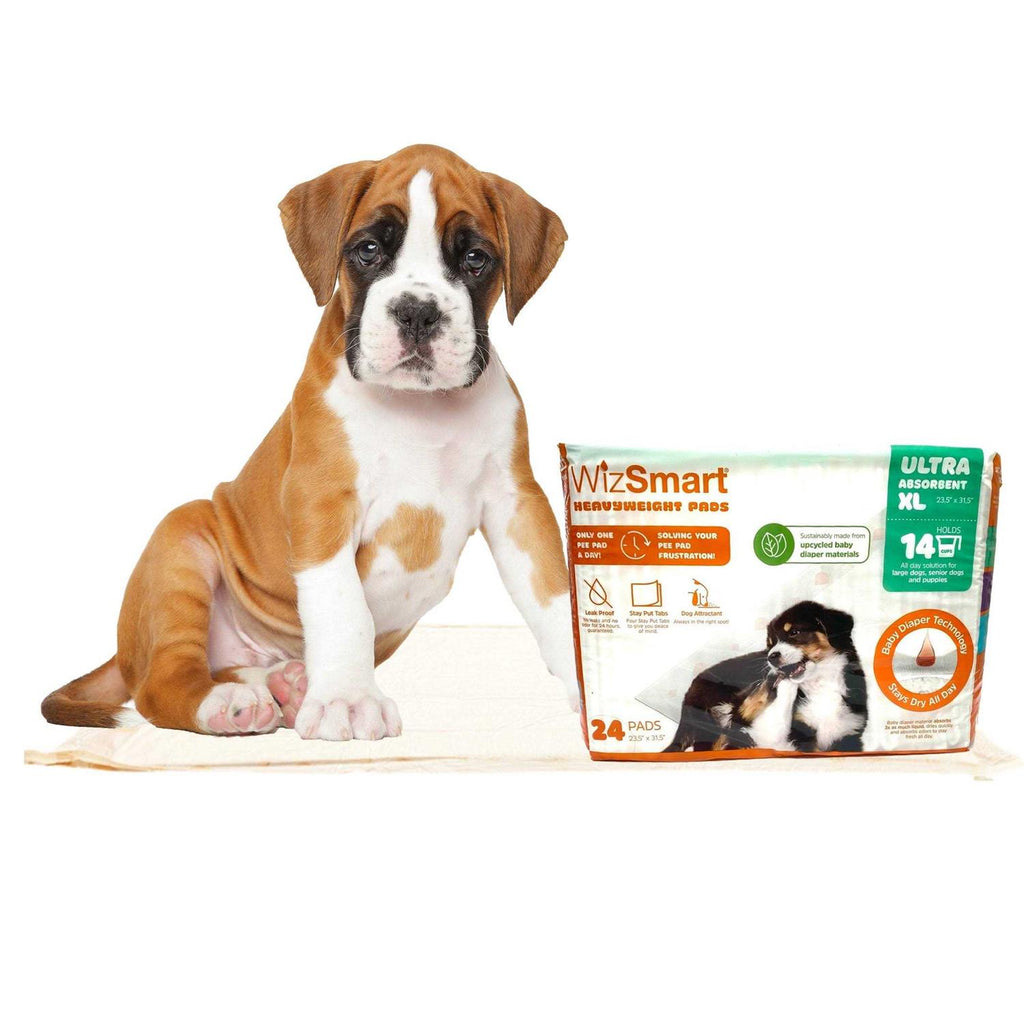 Dog Pads J716426
