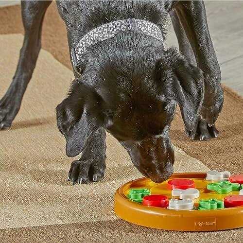 Dog Treat Puzzle L83997
