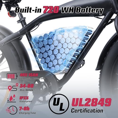 Electric Bike for Adults 48V 750W Peak 20" Fat Tires E8016