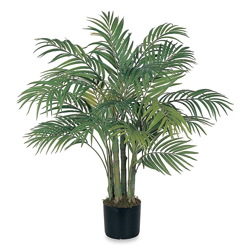 3' Areca Palm Silk Tree in Plastic Pot T3920