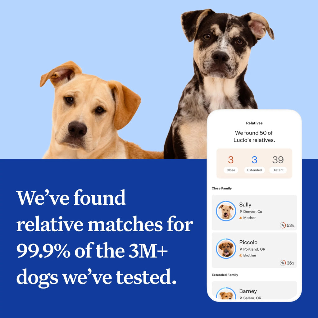 Dog DNA Test Kit N9468