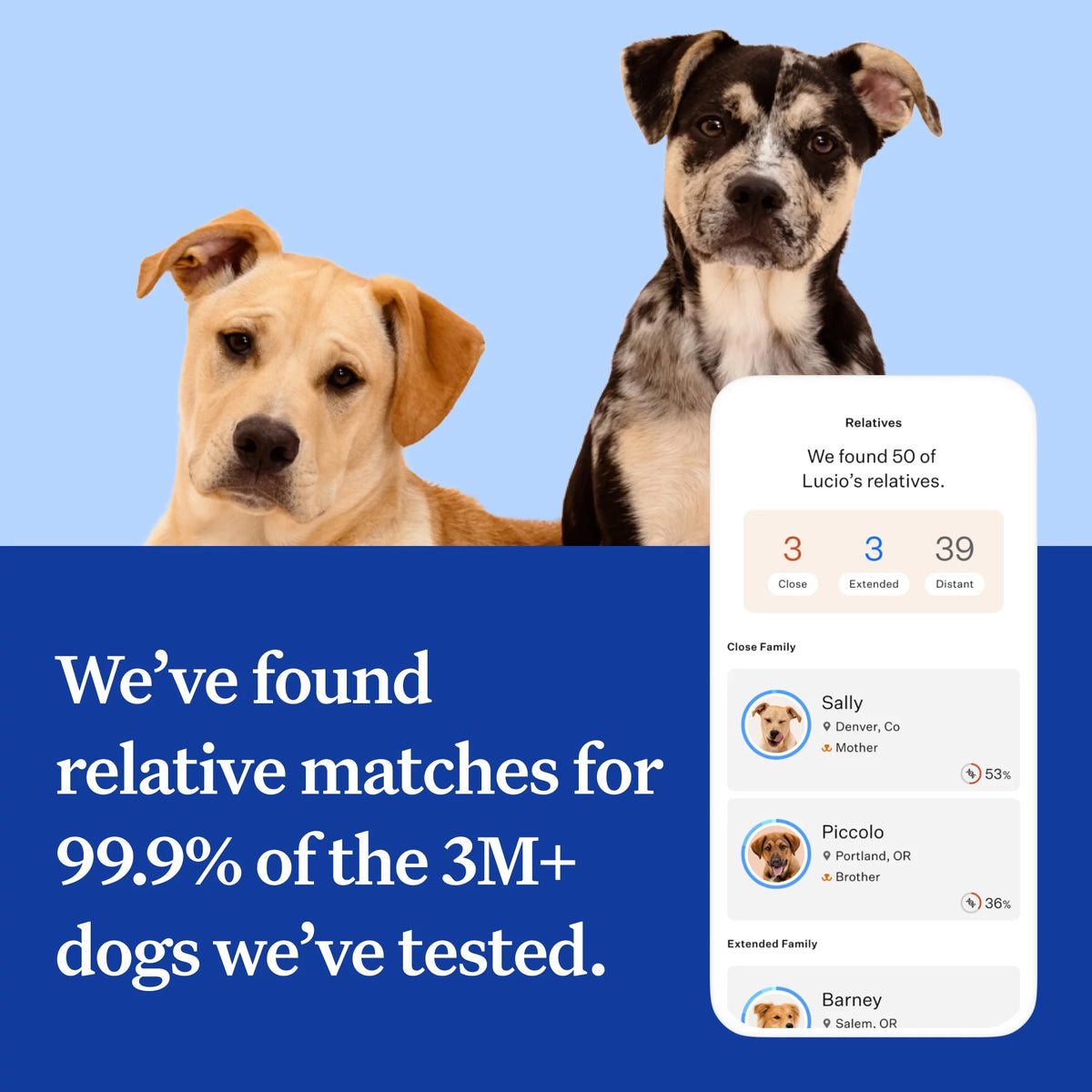 Dog DNA Test Kit N9468