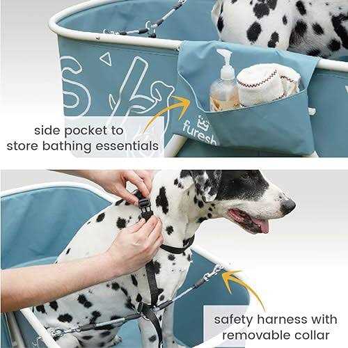 Big Dog Bath Tub with Stairs Z461