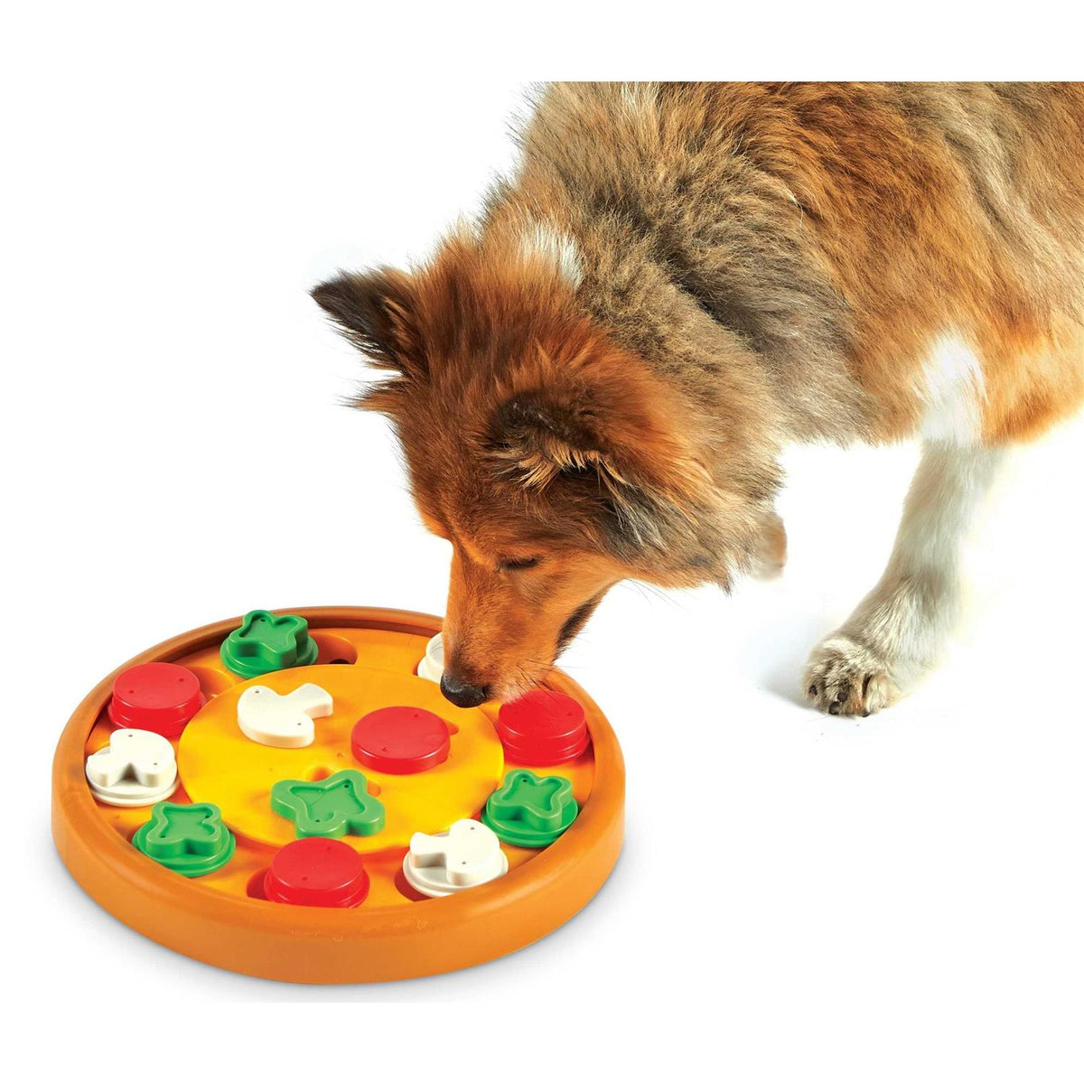 Dog Treat Puzzle L83997
