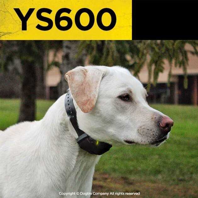 No Bark Collar K408
