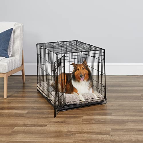 Single & Double Door Dog Crate with Leak-Proof Pan X759719