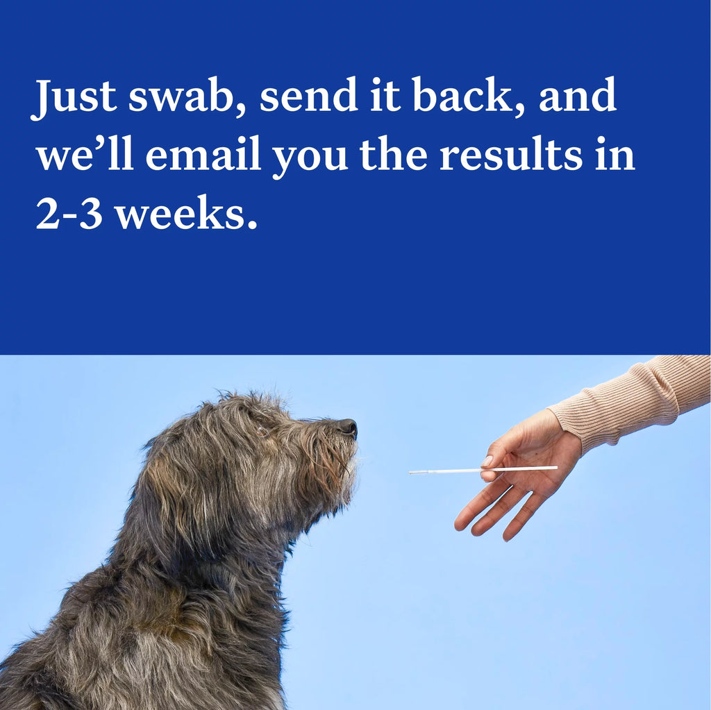 Dog DNA Test Kit N9468