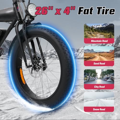 Electric Bike for Adults 48V 750W Peak 20" Fat Tires E8016
