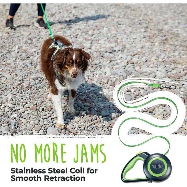 Retractable Dog Leash A4742