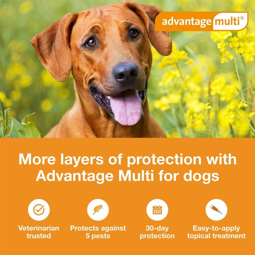 Advantage Multi for Dogs E12051