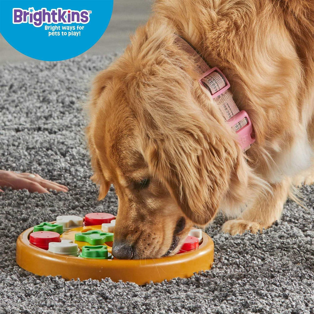 Dog Treat Puzzle L83997
