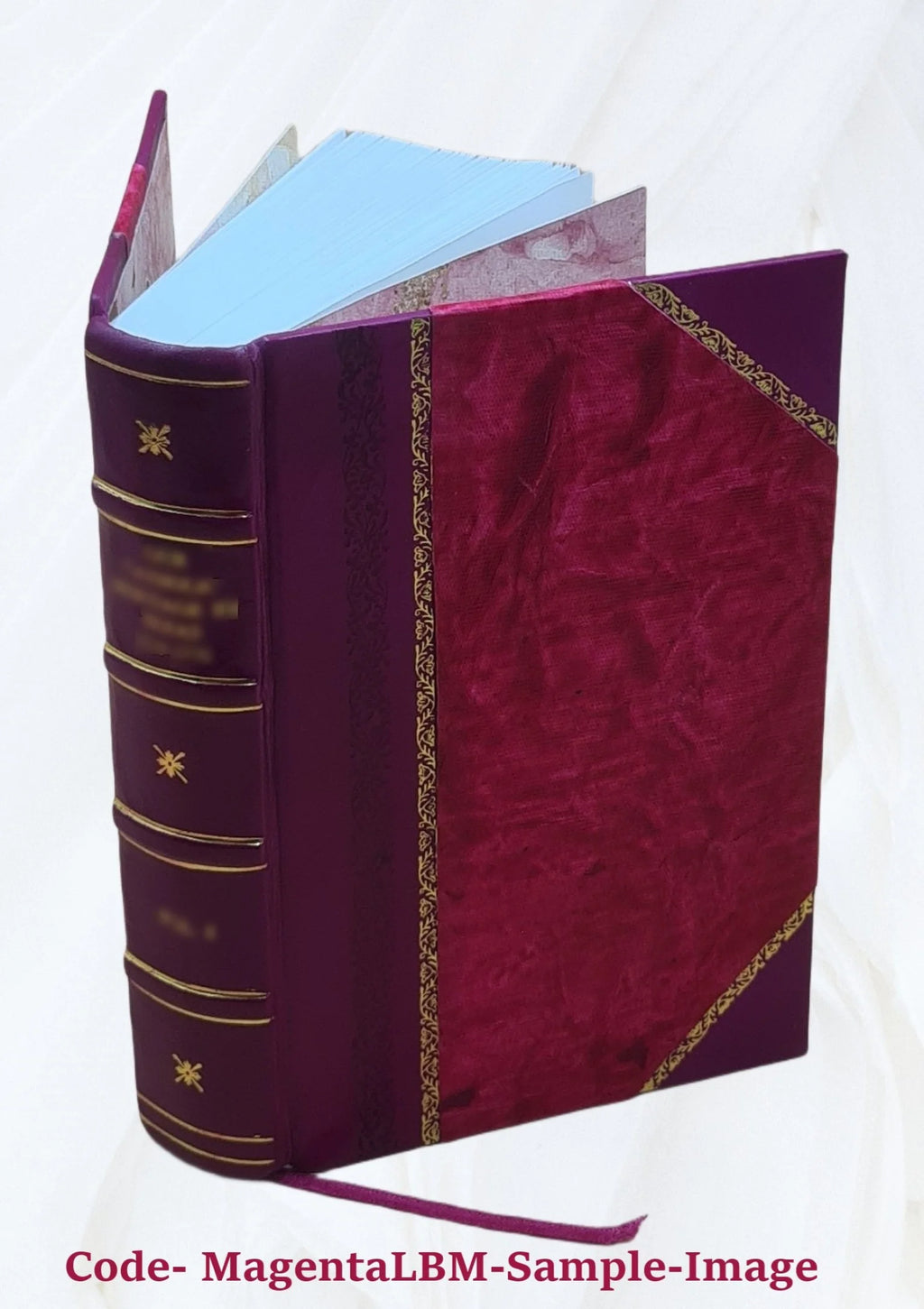 Maladies de l'encéphale Leather Bound H582511