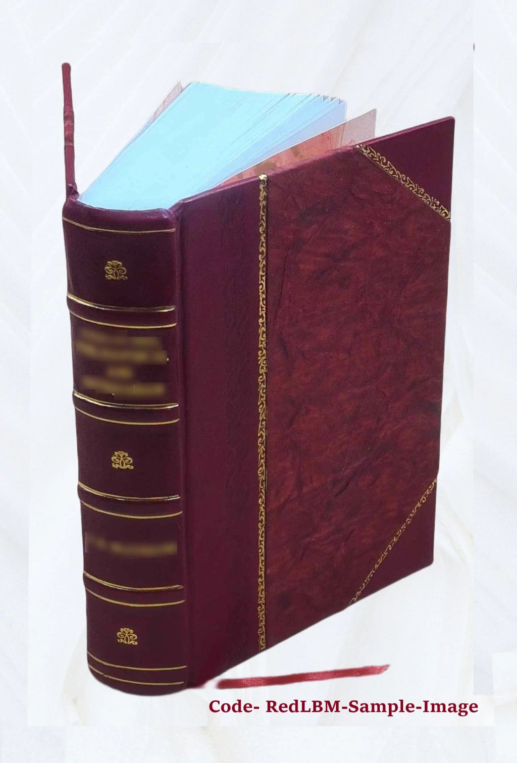 Géologie pratique Leather Bound R234