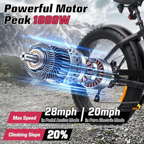 Electric Bike for Adults 48V 750W Peak 20" Fat Tires E8016