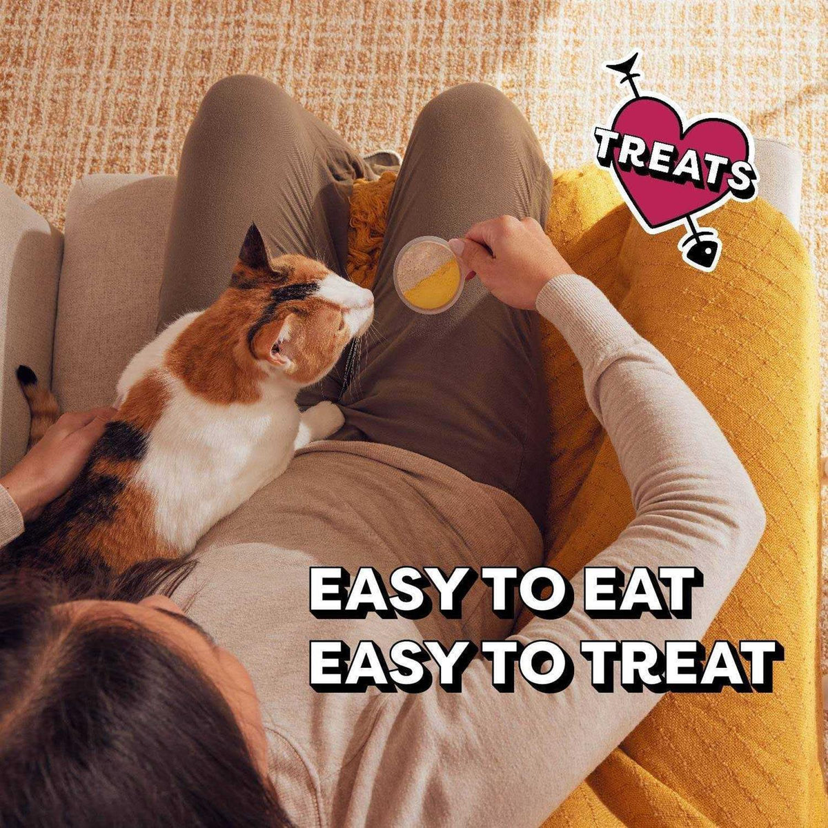 Lickable Spoons Cat Treats A4105