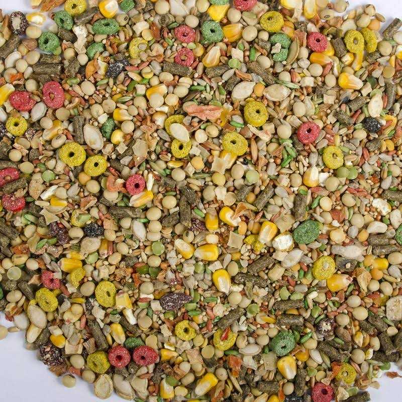 Hamster and Gerbil Advanced Nutrition Diet W11681