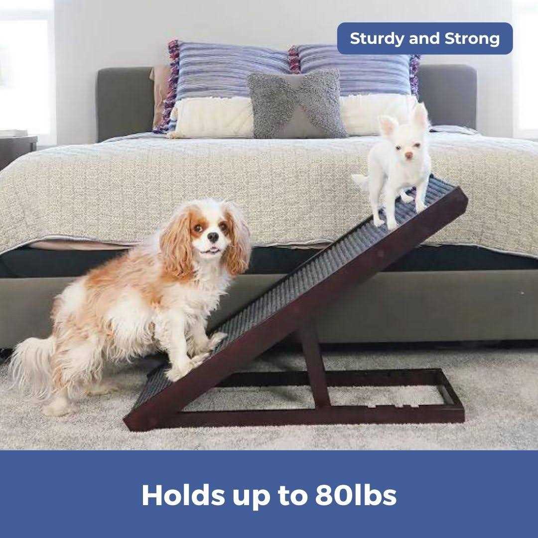 Natural Wood PawRamp for Small & Large Dogs W563879