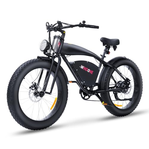 Electric Bike for Adults 48V 750W Peak 20" Fat Tires E8016