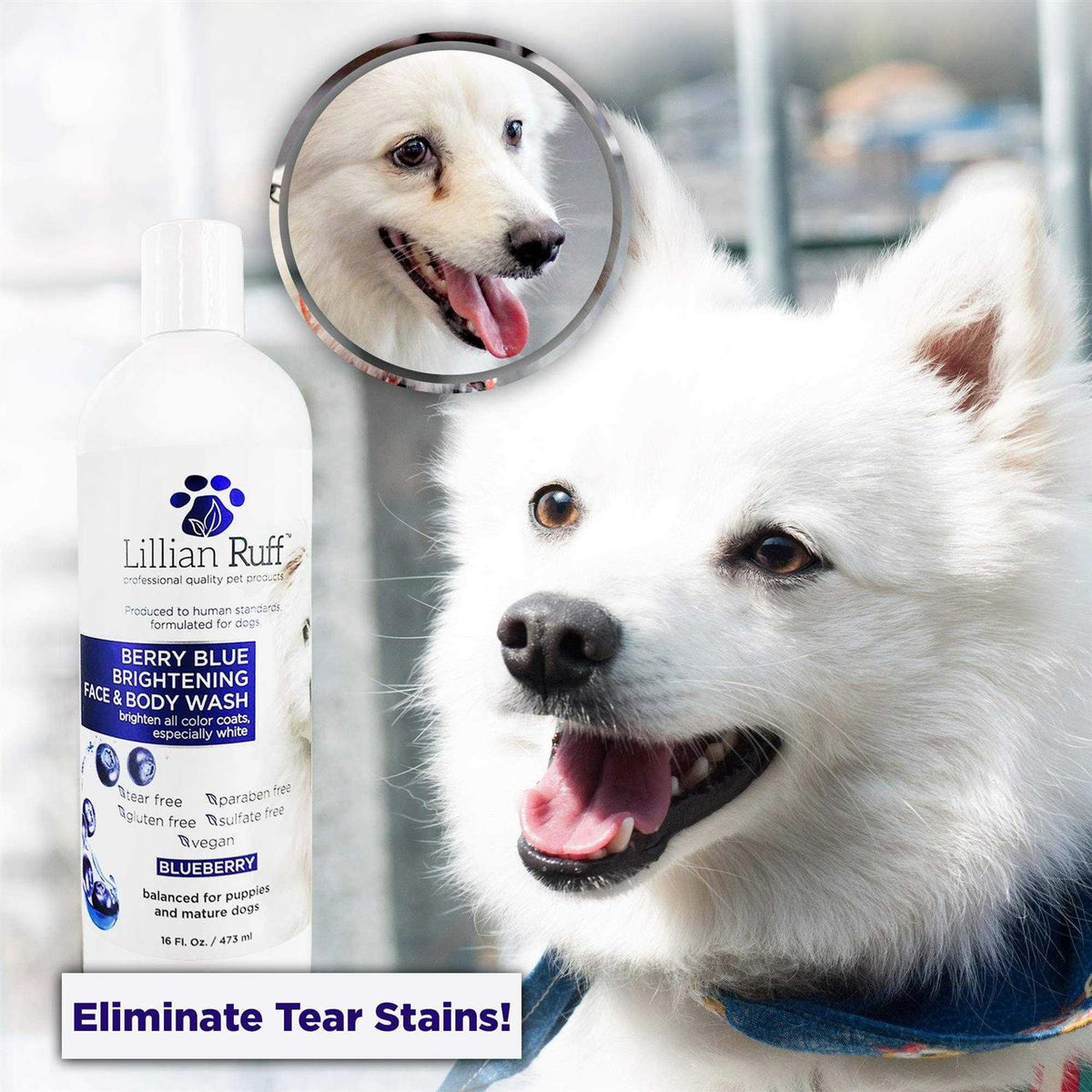 Berry Blue Brightening Face and Body Wash for Dogs and Cats Q8632